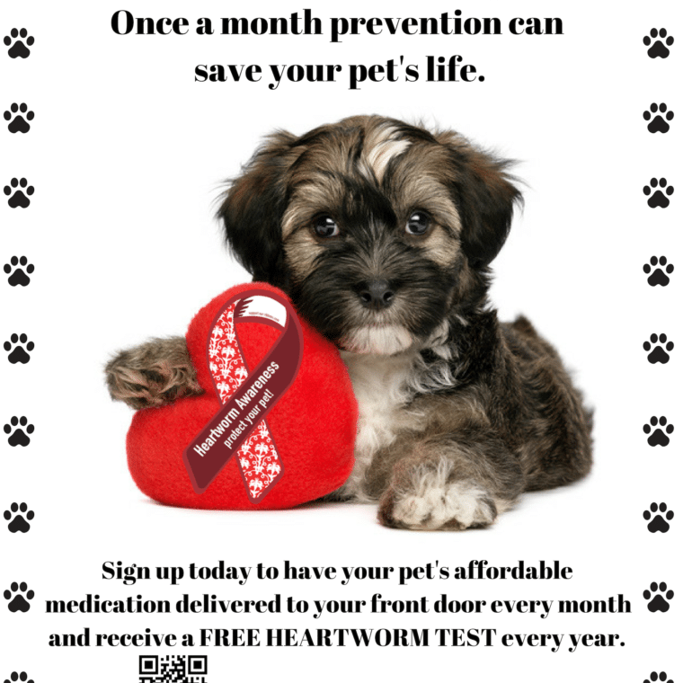 heart worm prevention ad