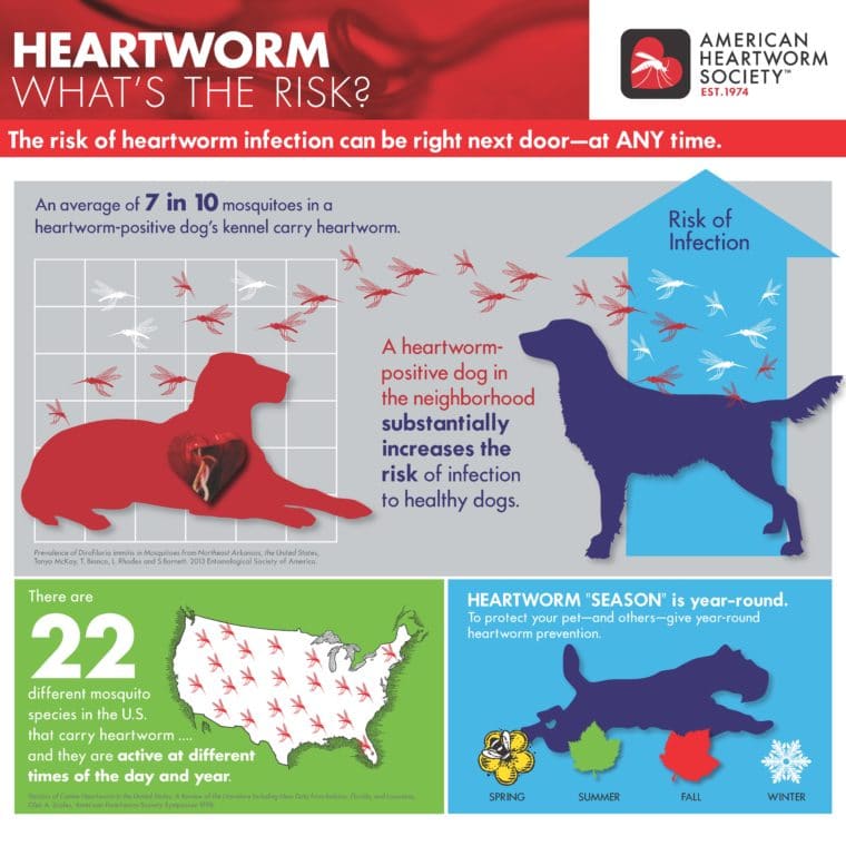 Pawmetto Lifeline Prescription Auto Refill Program Pawmetto Lifeline