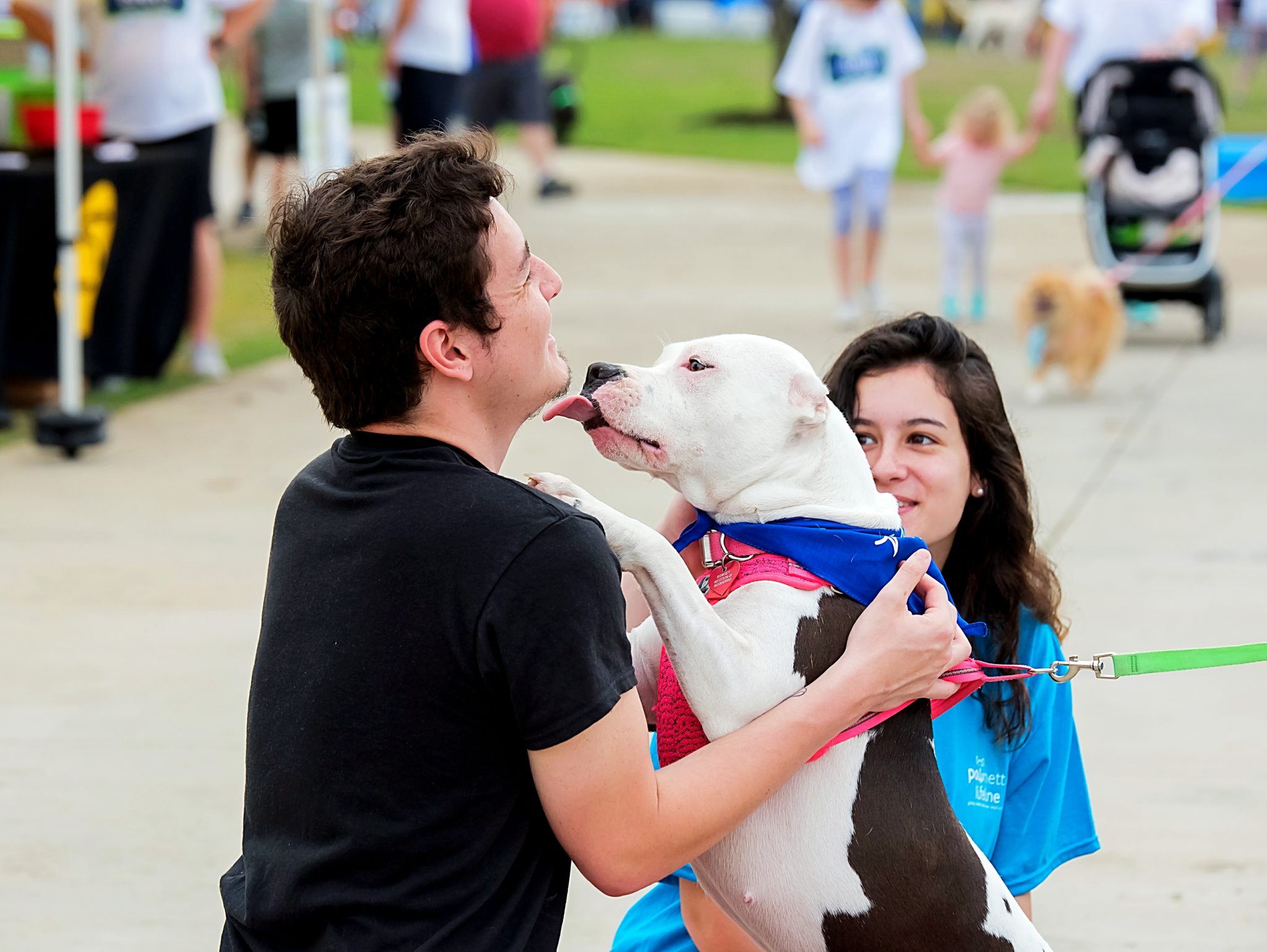 Bark In The Park  TotalBond Veterinary Hospital at Forestbrook