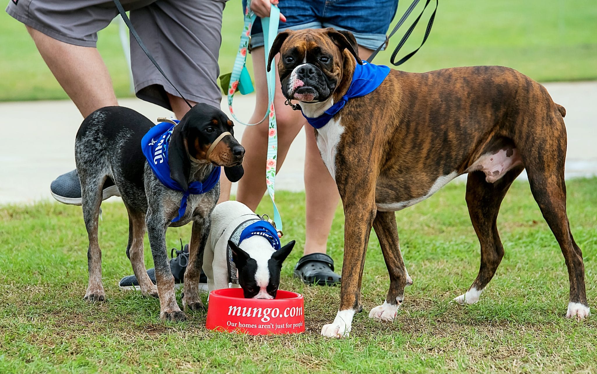 Pawmetto Lifeline: Bark to the Park 2023