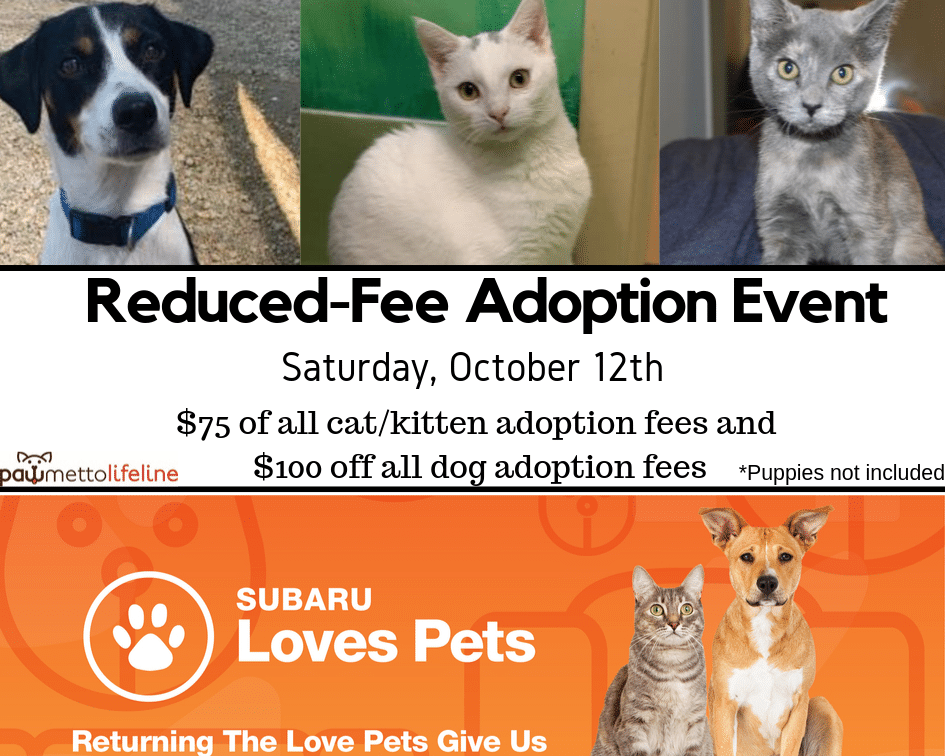 Reduced Fee Adoption Event (1) Pawmetto Lifeline