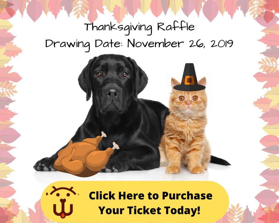 Thanksgiving Raffle Drawing Date November 26, 2019 (2) | Pawmetto Lifeline