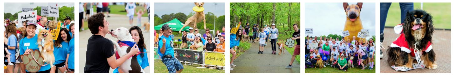 Pawmetto Lifeline: Bark to the Park 2023