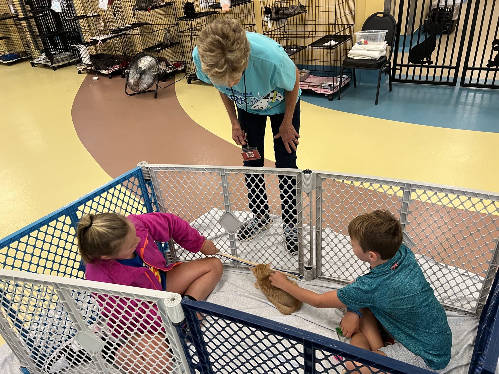 Fur Friends Summer Camp
