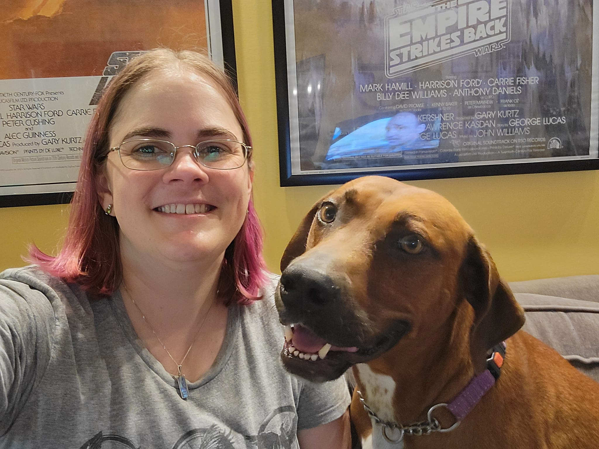 Ginger | Pawmetto Lifeline