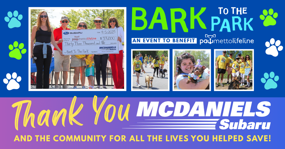 WWW.BARKTOTHEPARK.COM (8)