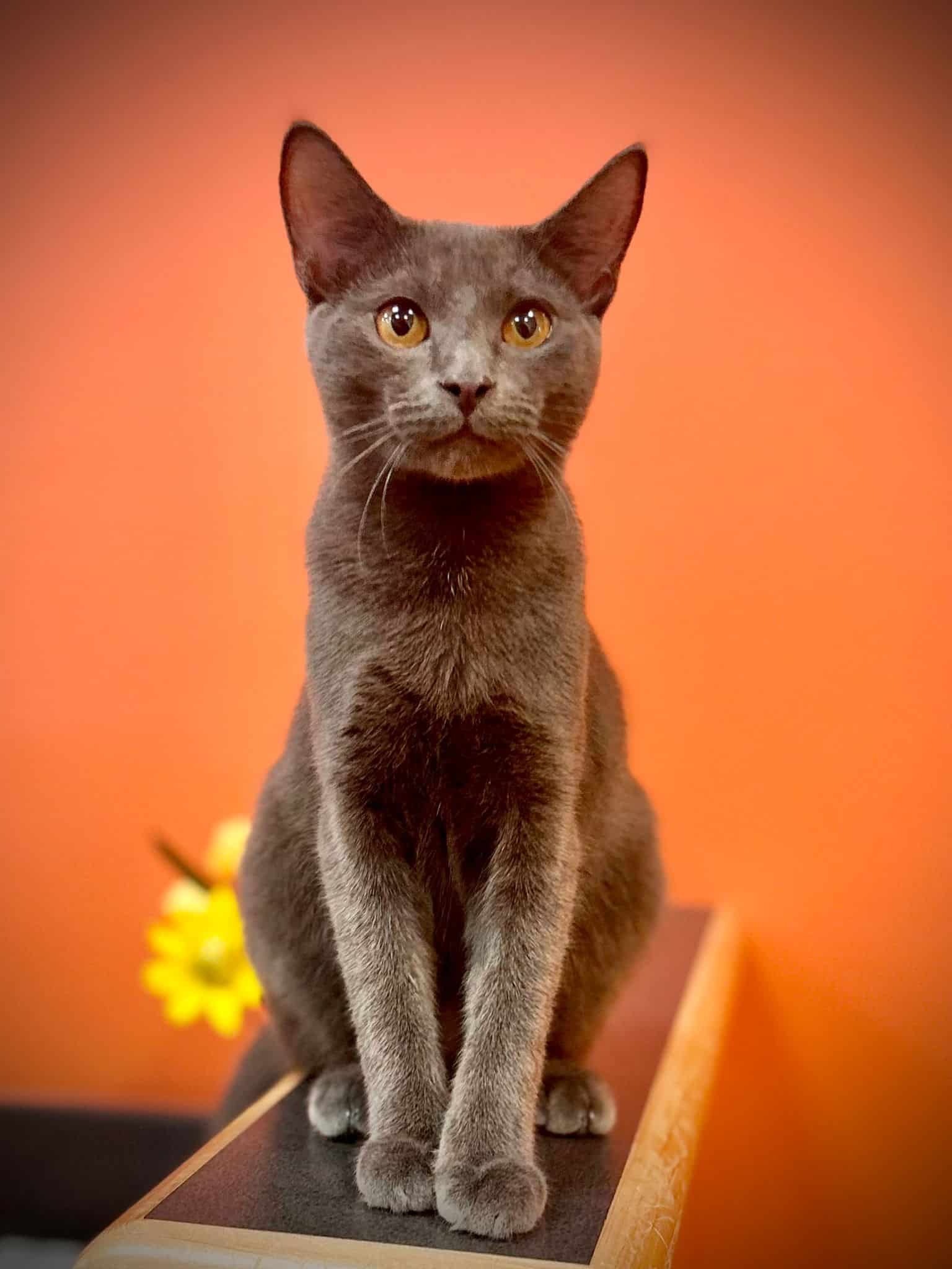 WhatsApp Image 2023 10 25 At 16.45.59 7d86b9f6