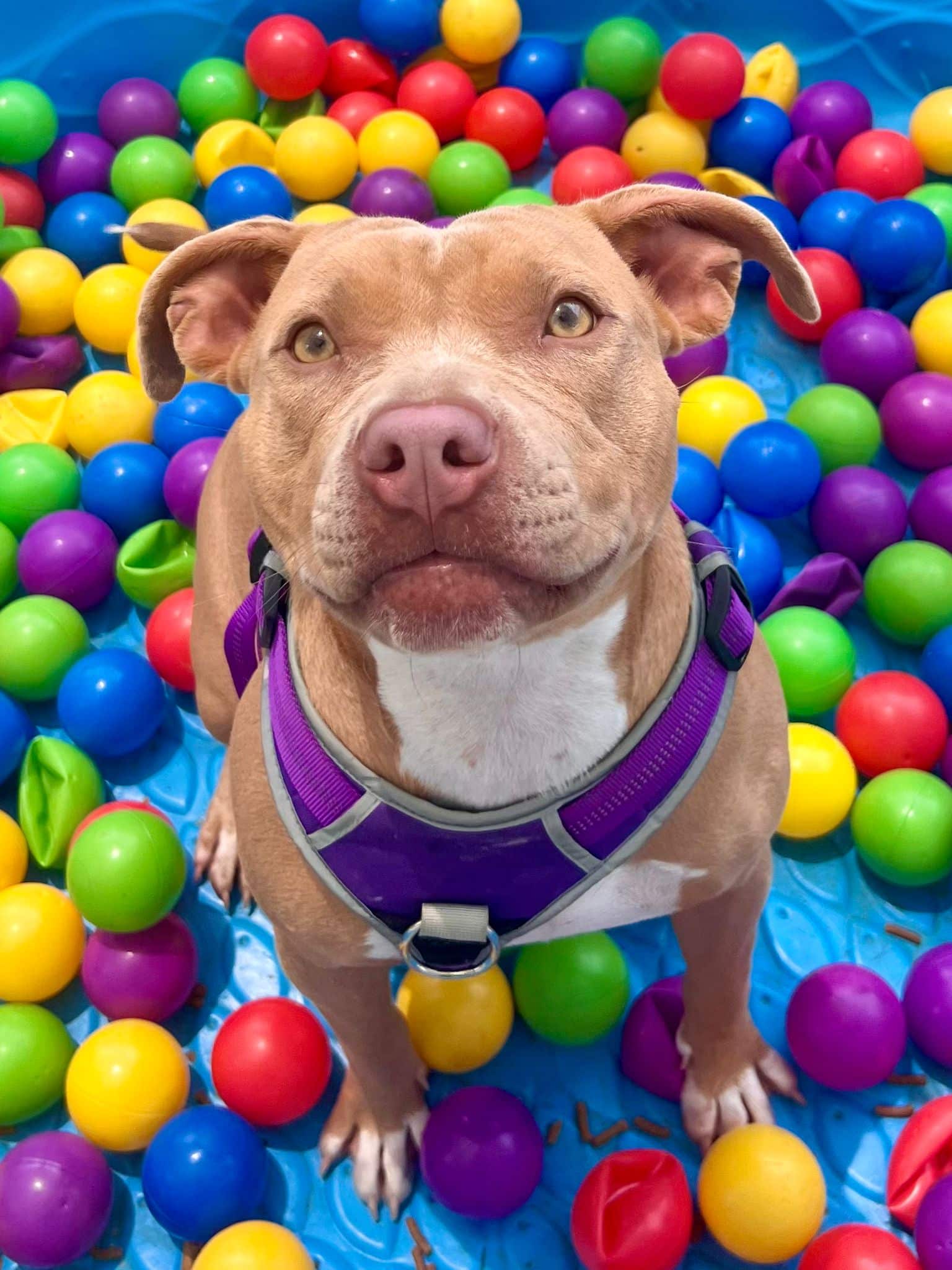 WhatsApp Image 2024 06 06 At 10.38.38 4dc855b6