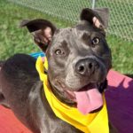 Original FE546536 9E29 43D8 A592 CFCE818F44E6