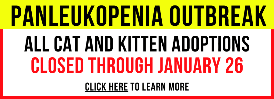 Copy Of ON SITE VACCINE CLINIC CANCELED TODAY 2225